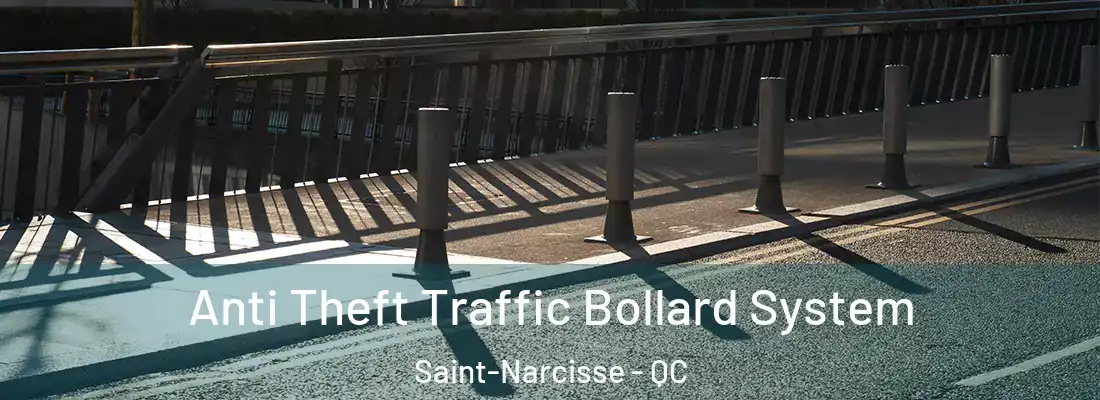  Anti Theft Traffic Bollard System Saint-Narcisse - QC