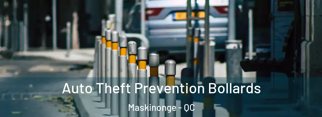  Auto Theft Prevention Bollards Maskinonge - QC