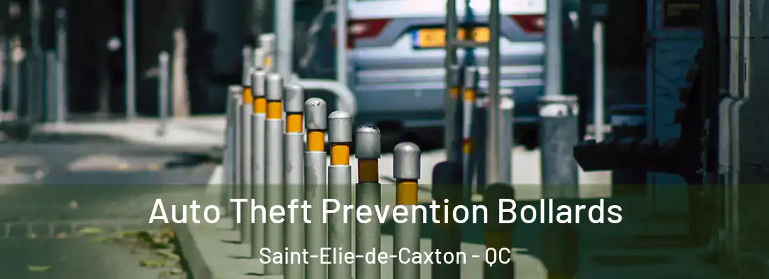  Auto Theft Prevention Bollards Saint-Elie-de-Caxton - QC