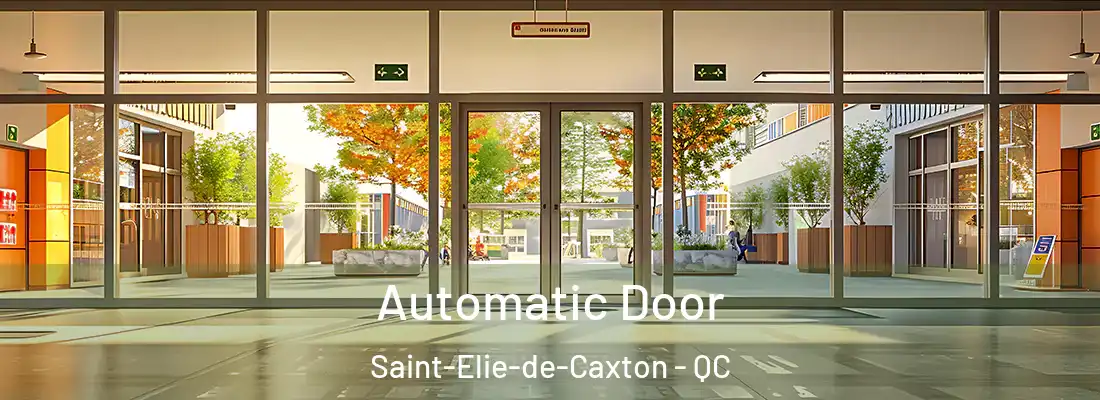  Automatic Door Saint-Elie-de-Caxton - QC