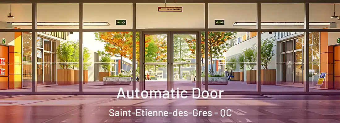  Automatic Door Saint-Etienne-des-Gres - QC