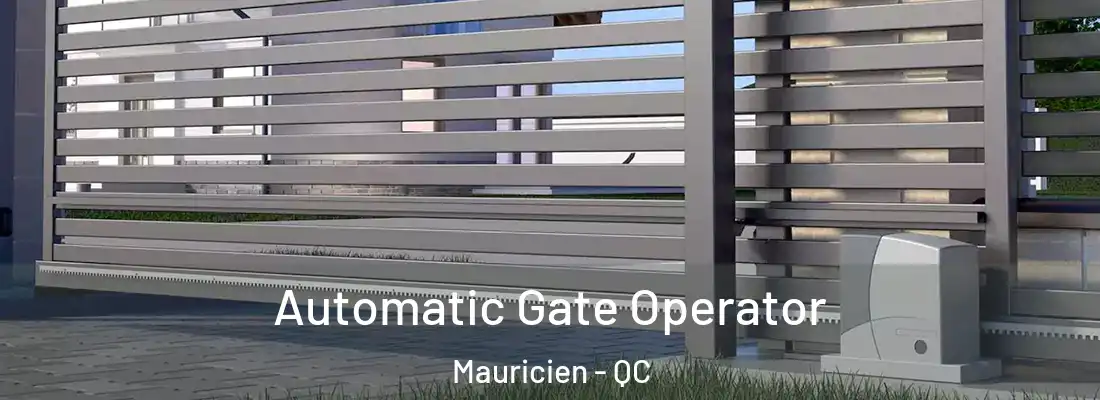  Automatic Gate Operator Mauricien - QC