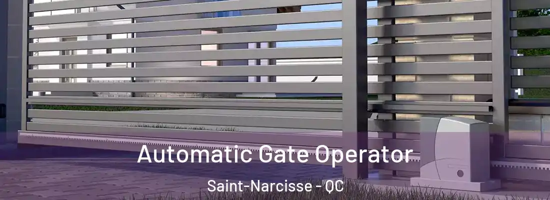  Automatic Gate Operator Saint-Narcisse - QC