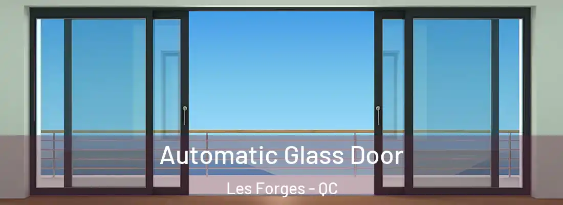  Automatic Glass Door Les Forges - QC