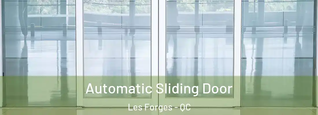  Automatic Sliding Door Les Forges - QC