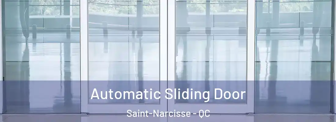  Automatic Sliding Door Saint-Narcisse - QC