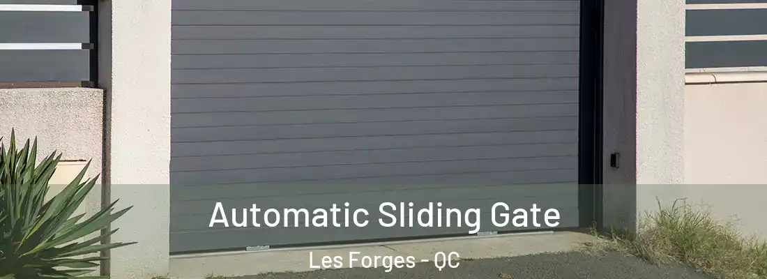  Automatic Sliding Gate Les Forges - QC