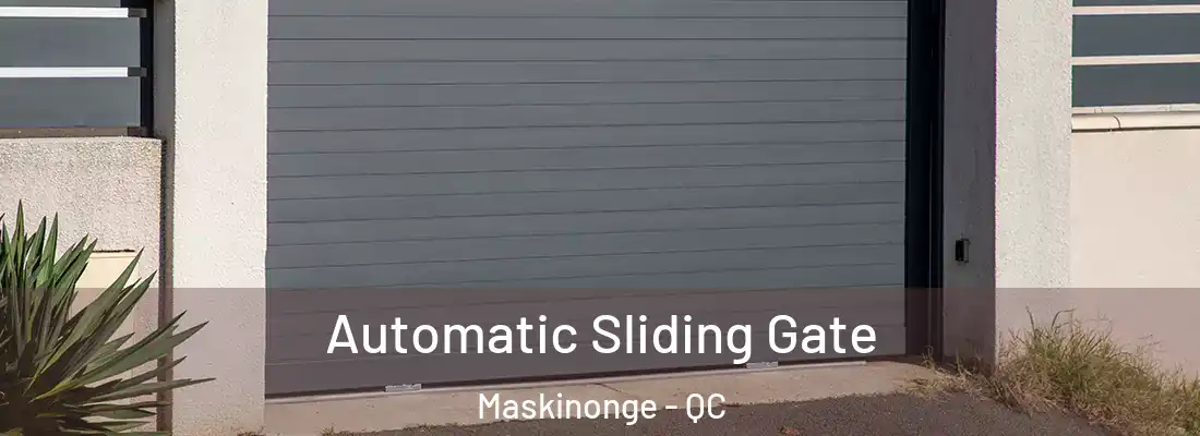  Automatic Sliding Gate Maskinonge - QC