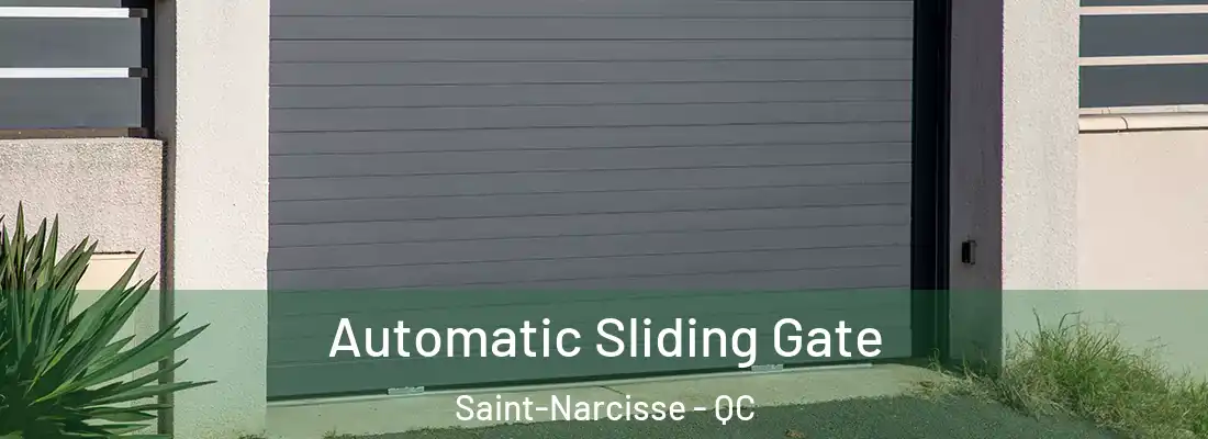  Automatic Sliding Gate Saint-Narcisse - QC