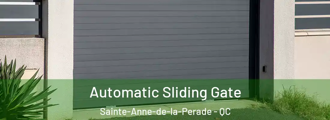  Automatic Sliding Gate Sainte-Anne-de-la-Perade - QC