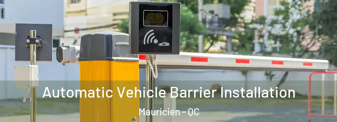  Automatic Vehicle Barrier Installation Mauricien - QC