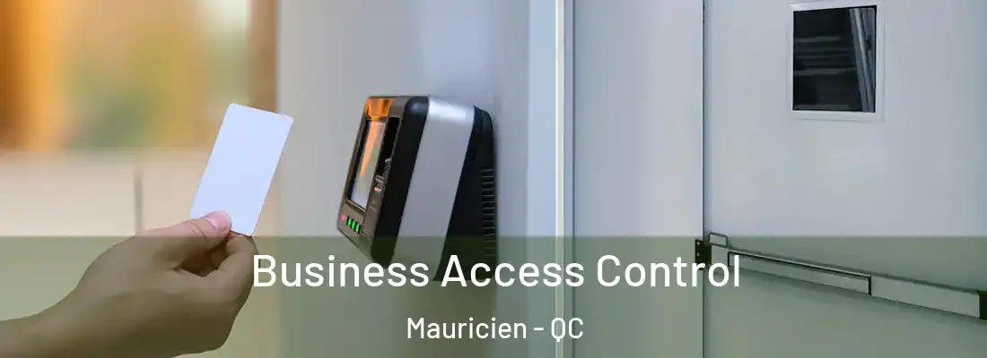  Business Access Control Mauricien - QC