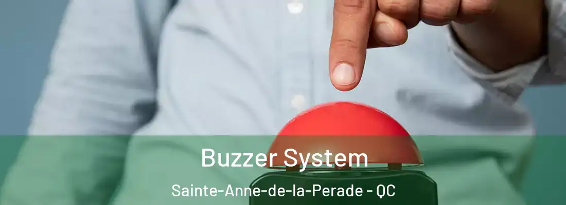  Buzzer System Sainte-Anne-de-la-Perade - QC
