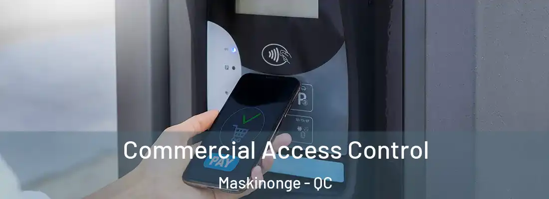  Commercial Access Control Maskinonge - QC