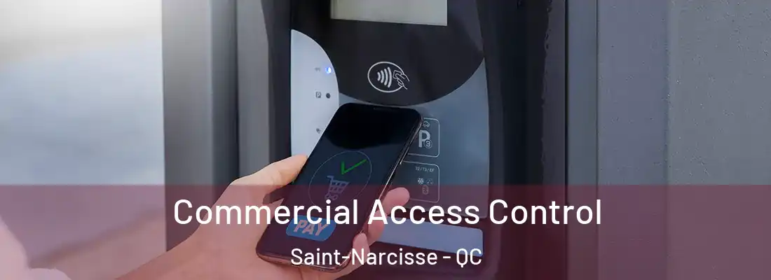  Commercial Access Control Saint-Narcisse - QC