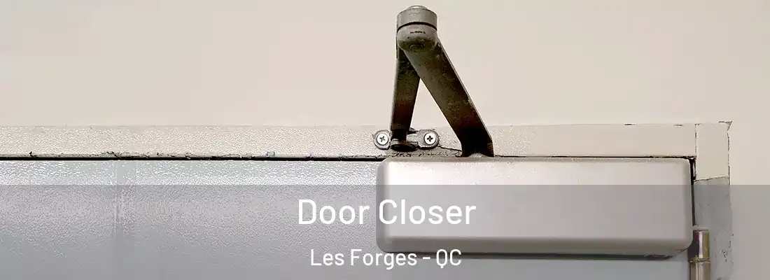  Door Closer Les Forges - QC