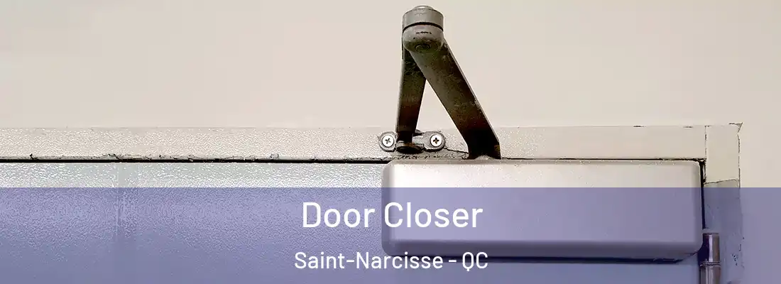  Door Closer Saint-Narcisse - QC