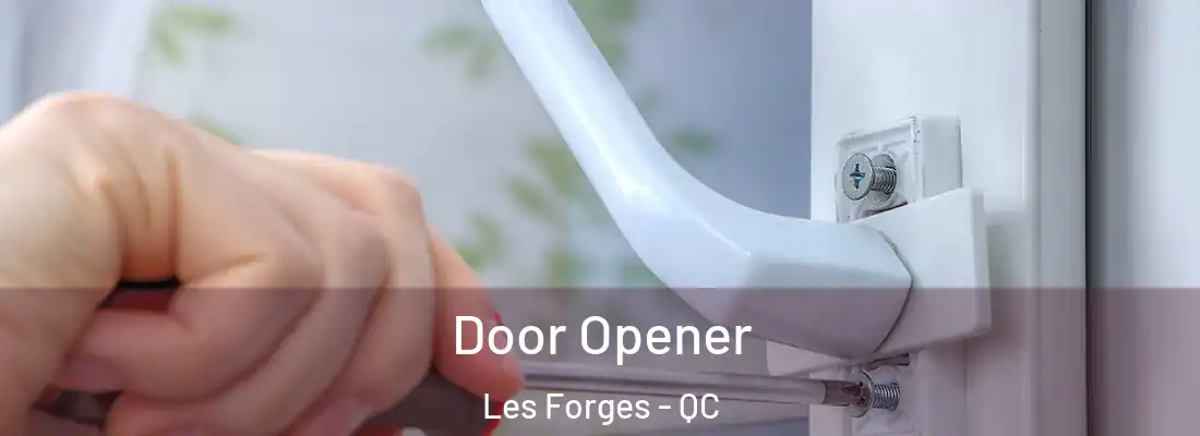  Door Opener Les Forges - QC