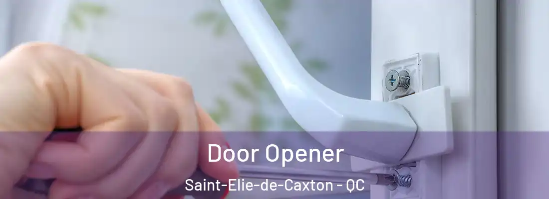  Door Opener Saint-Elie-de-Caxton - QC