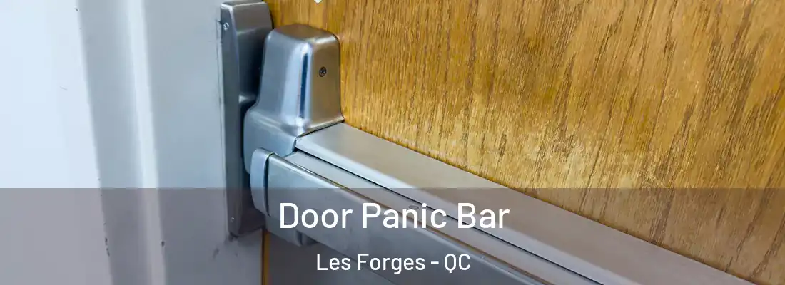  Door Panic Bar Les Forges - QC
