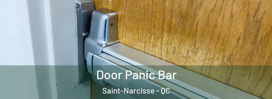  Door Panic Bar Saint-Narcisse - QC