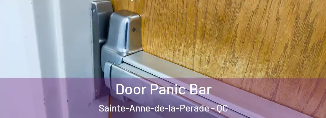  Door Panic Bar Sainte-Anne-de-la-Perade - QC