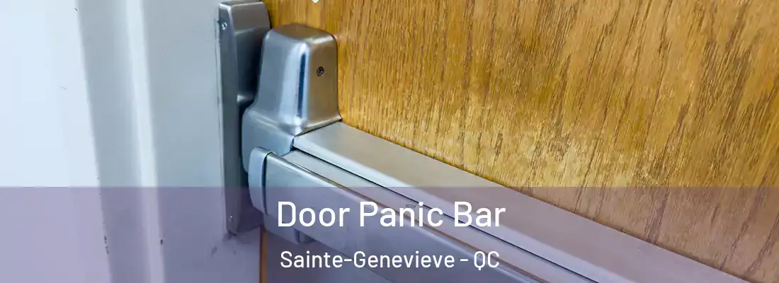 Door Panic Bar Sainte-Genevieve - QC