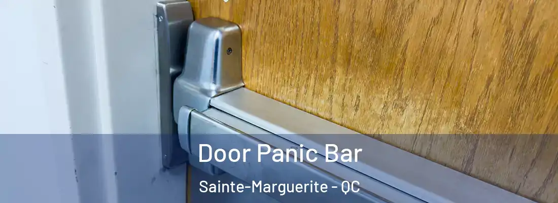  Door Panic Bar Sainte-Marguerite - QC