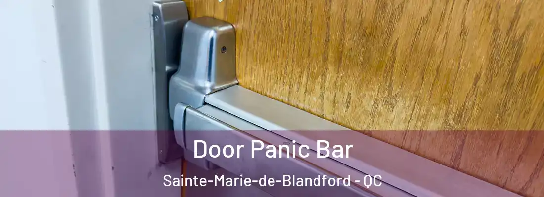  Door Panic Bar Sainte-Marie-de-Blandford - QC