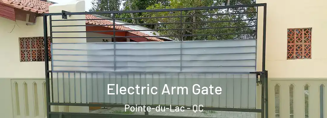  Electric Arm Gate Pointe-du-Lac - QC