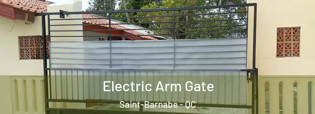  Electric Arm Gate Saint-Barnabe - QC