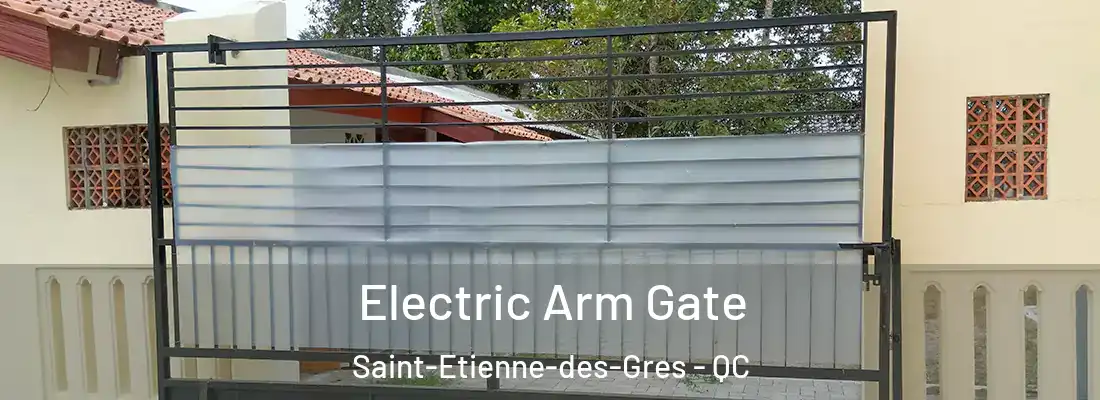  Electric Arm Gate Saint-Etienne-des-Gres - QC