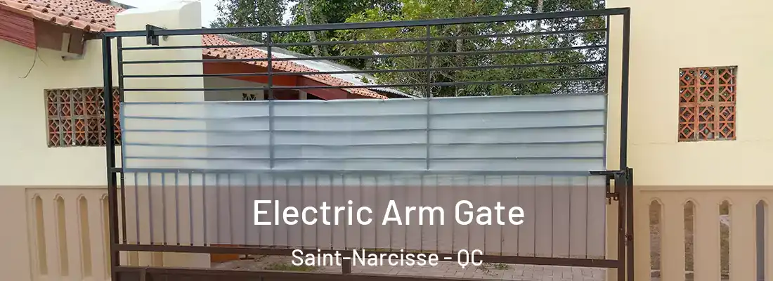  Electric Arm Gate Saint-Narcisse - QC