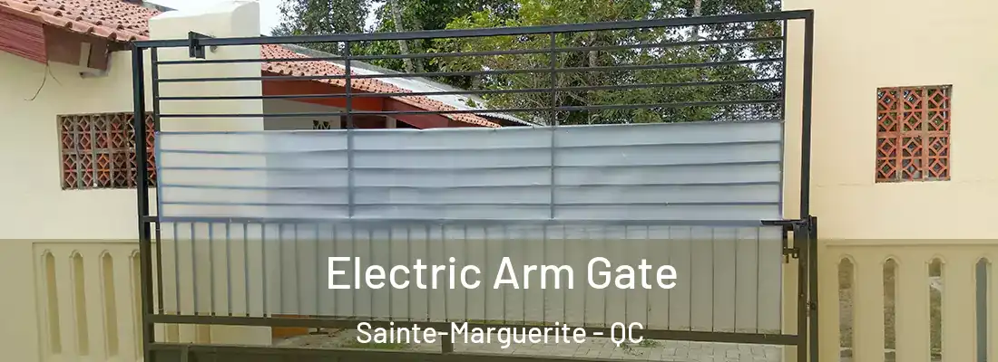  Electric Arm Gate Sainte-Marguerite - QC