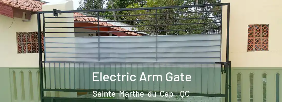 Electric Arm Gate Sainte-Marthe-du-Cap - QC