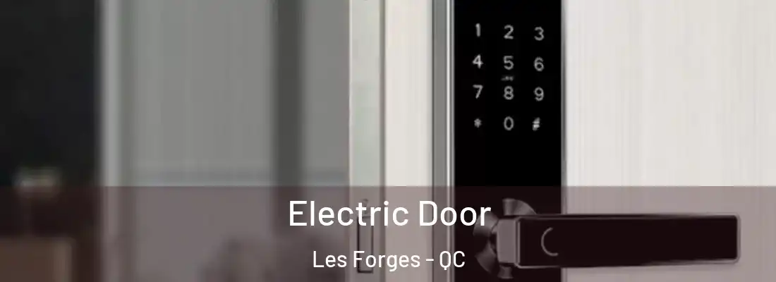  Electric Door Les Forges - QC
