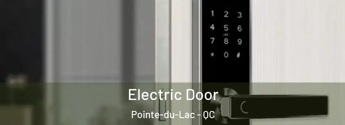  Electric Door Pointe-du-Lac - QC