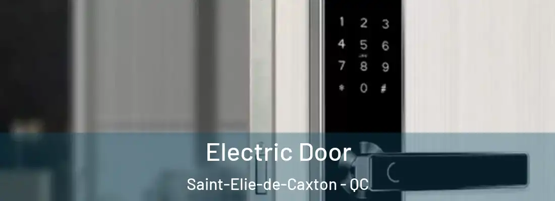 Electric Door Saint-Elie-de-Caxton - QC