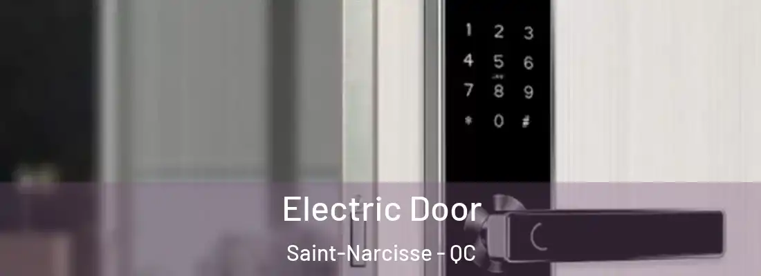  Electric Door Saint-Narcisse - QC