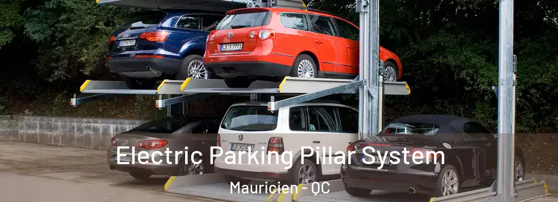  Electric Parking Pillar System Mauricien - QC