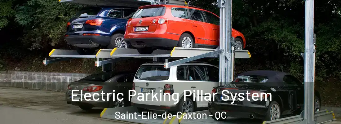  Electric Parking Pillar System Saint-Elie-de-Caxton - QC