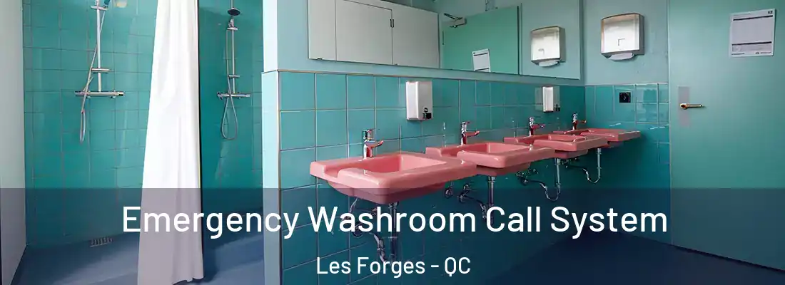  Emergency Washroom Call System Les Forges - QC