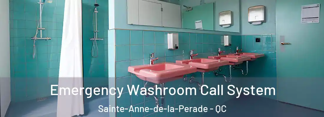  Emergency Washroom Call System Sainte-Anne-de-la-Perade - QC