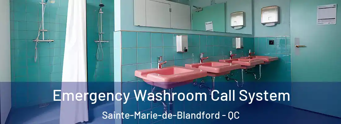  Emergency Washroom Call System Sainte-Marie-de-Blandford - QC