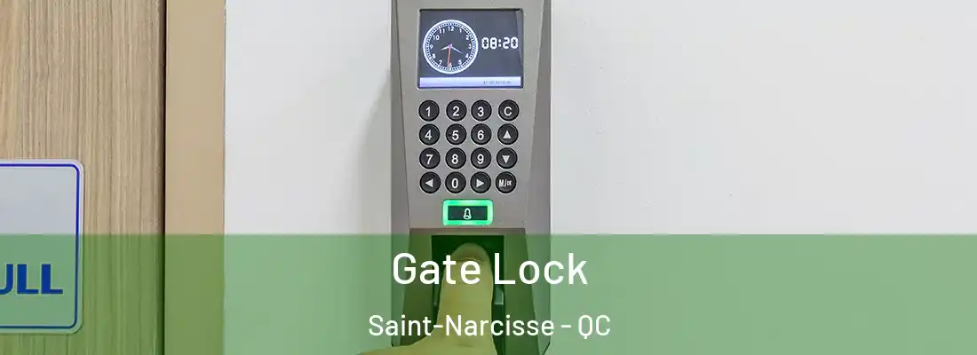  Gate Lock Saint-Narcisse - QC