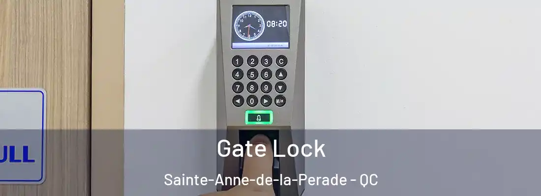  Gate Lock Sainte-Anne-de-la-Perade - QC