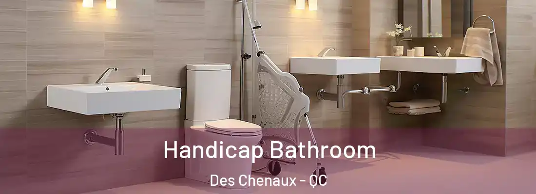  Handicap Bathroom Des Chenaux - QC