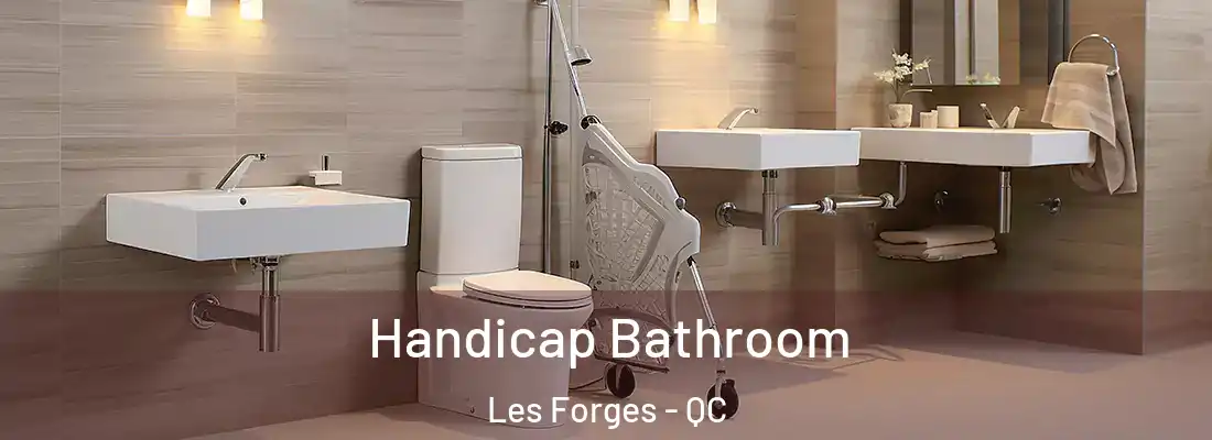  Handicap Bathroom Les Forges - QC