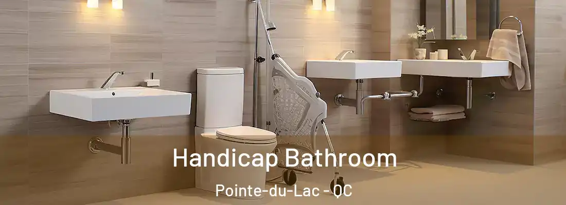  Handicap Bathroom Pointe-du-Lac - QC