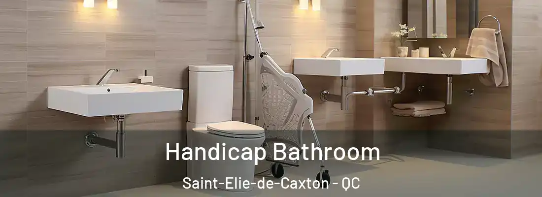  Handicap Bathroom Saint-Elie-de-Caxton - QC